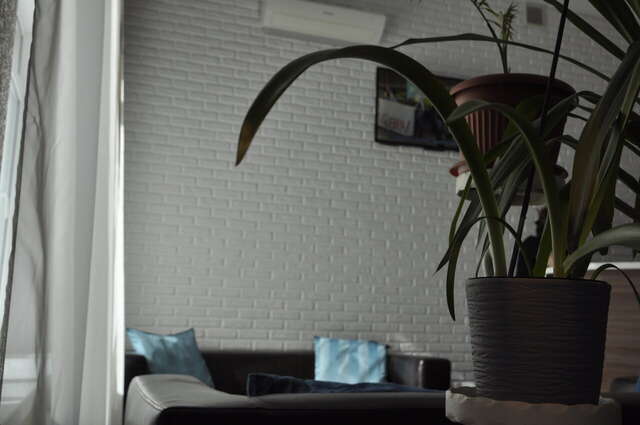 Гостиница А-сьют Омск-183