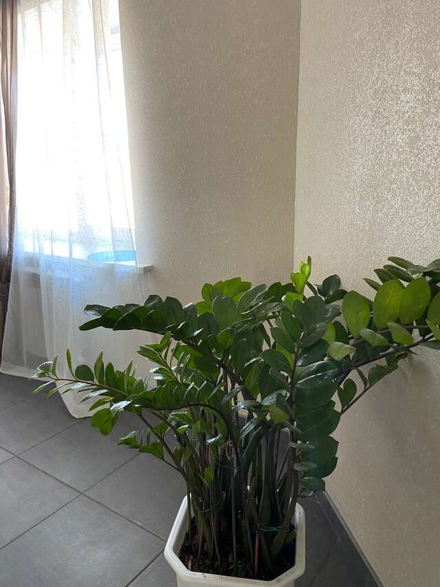 Гостиница А-сьют Омск-160